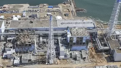 Accident nucléaire de Fukushima, Japon. Causes et conséquences